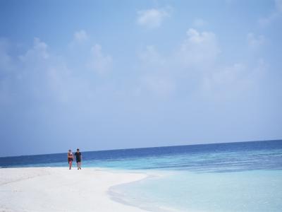 平錦宏PAD3EUCL相關圖片