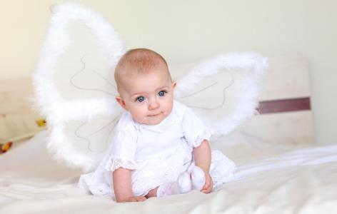 呂芹維4PA0W0FB相關(guān)圖片