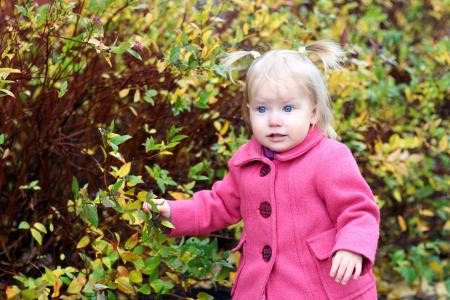 梅林鋒35HHFAYA相關圖片