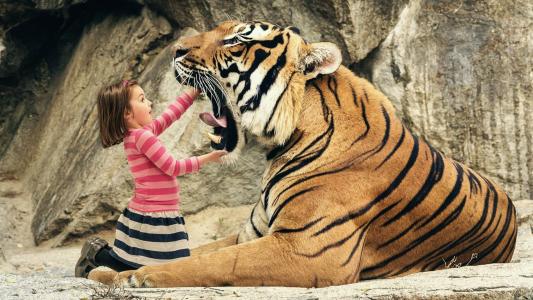 胡潔君EE8859KQ相關圖片