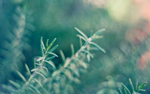 范彩麗UG3SGSDK相關圖片