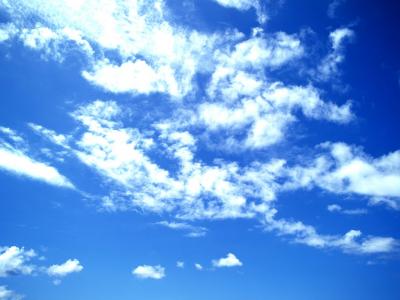 鳳小驥MWWOOANZ相關圖片