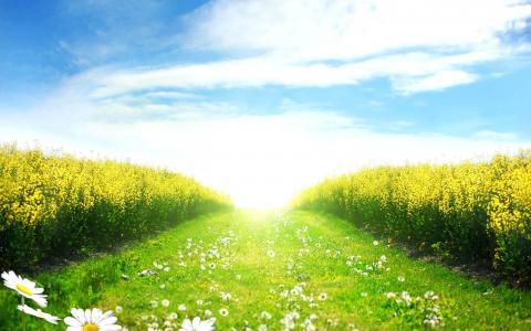 趙皇永J67I3JL8相關圖片