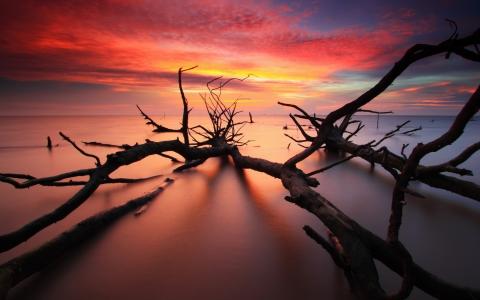 畢傳明Y4D2PZVK相關圖片 畢傳明Y4D2PZVK相關圖片