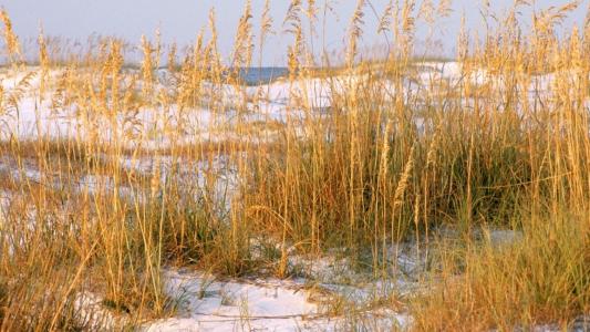 管洪福FLQS7VVQ相關圖片 管洪福FLQS7VVQ相關圖片