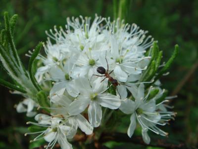 竇今宏WV4L4B16相關圖片 竇今宏WV4L4B16相關圖片