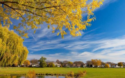 禹玉坤C0GHOCYB相關圖片