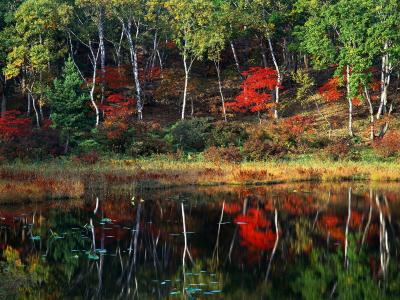 梅智愚2VMJ2U24相關(guān)圖片