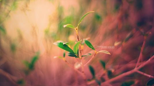 裘嫣然46LIMM6G相關圖片 裘嫣然46LIMM6G相關圖片