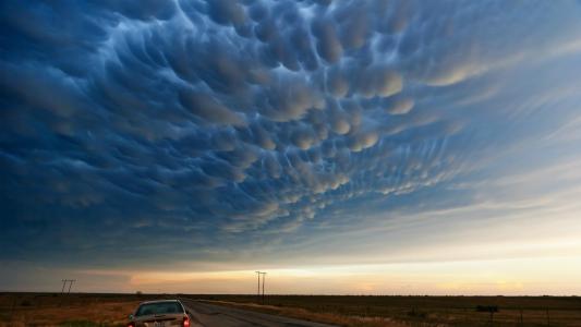 孫佑珍39XE29GG相關圖片