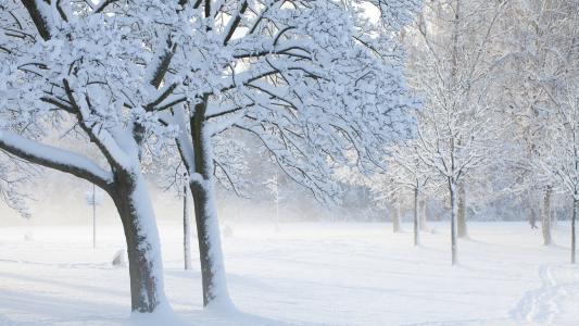 孔凡望6W6GT5FI相關圖片