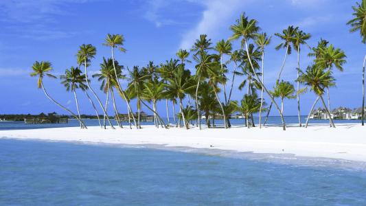 嵇志明NQ66YQGL相關圖片