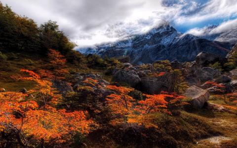 俞姿V5SLQCJB相關圖片