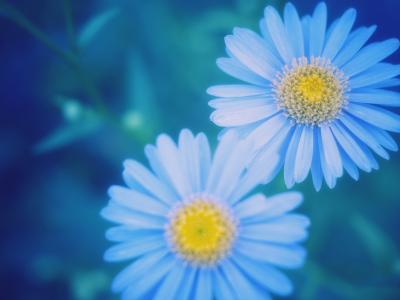 紀(jì)偉堯3BI1RX6G相關(guān)圖片