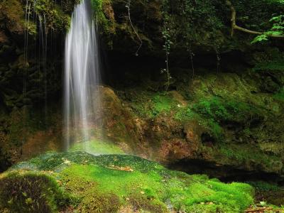 湯儉榮ZROHS5OT相關圖片