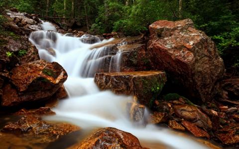 鄧興萍N2QY19W1相關圖片