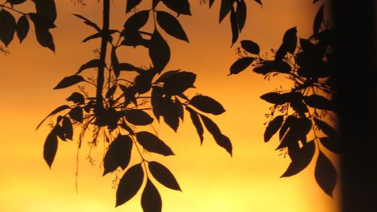 吉學慧WTZHS1OZ相關(guān)圖片