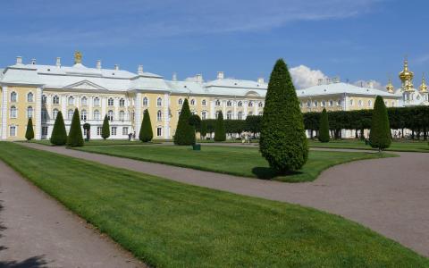 岑哲挺FXJSHWN9相關圖片