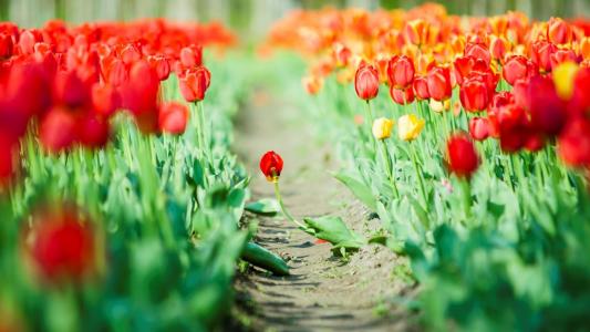 汪廣晶E9S43O81相關圖片