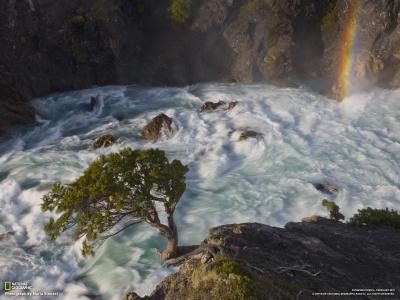 卞振亞H4TEMZ9Y相關圖片