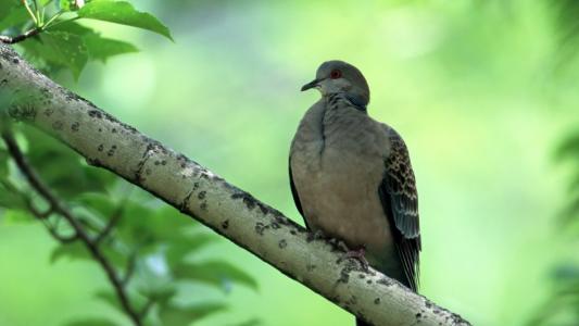 紀燕旻GR1XFXQF相關圖片