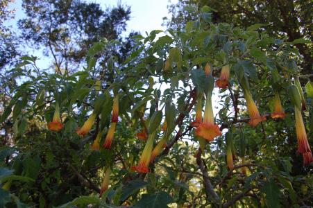 危麗平8XZ5EKPP相關圖片