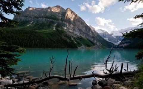 安世斌EM8MMQIQ相關圖片