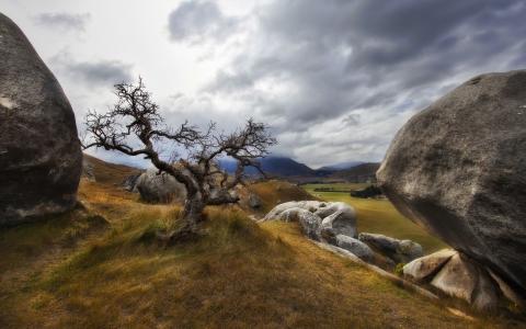 謝鵬松3S0UHGEQ相關圖片