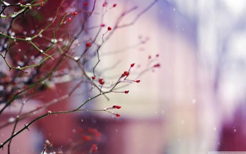 紀雅52LFEOVK相關圖片