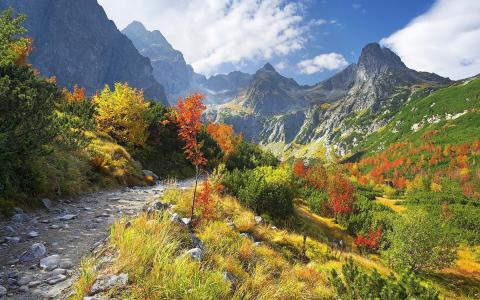 趙路杰Y2TJCL64相關圖片