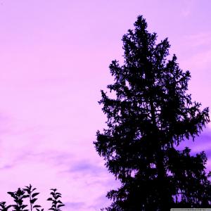 任夢綺3FSCFNBP相關圖片