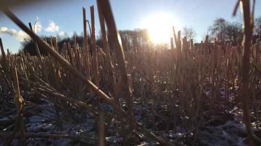 平秀麗U3LSOD9M相關(guān)圖片