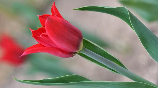 田尊磊9GH3132U相關圖片