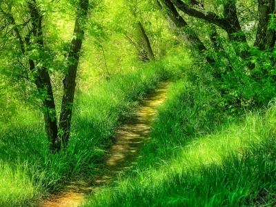 平坤8Q3UHI5S相關圖片