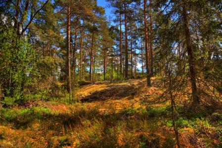 尤遐DVZCAK8G相關圖片