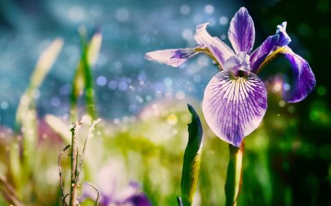 江先平Z42NIRI7相關圖片