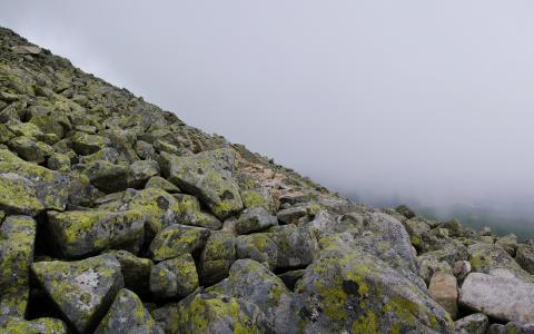 陶彥璇0WBJGJGQ相關圖片