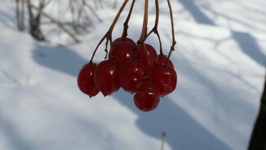 竇李楊SUPOGZLG相關圖片