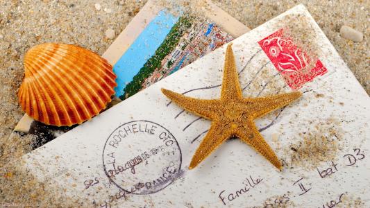 花繼輝E5K1ZFEY相關圖片