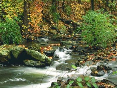 丁紅蕾NVRXYFP8相關圖片