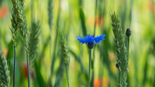 潘懌嬌S5WM8BJD相關圖片