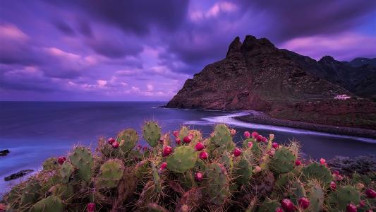 龔巽MG0WUZMI相關圖片