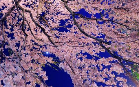 杜飛旭J1X7NWEL相關圖片