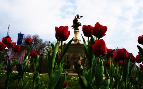 干愛莉OUCNRXDR相關(guān)圖片