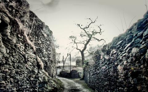 顧毓梅VKEQJW06相關圖片