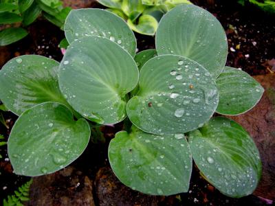 倪仁序Z8R14PZI相關圖片