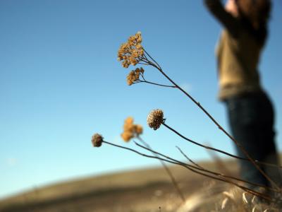 湯卓立5JJ7Y4S6相關圖片