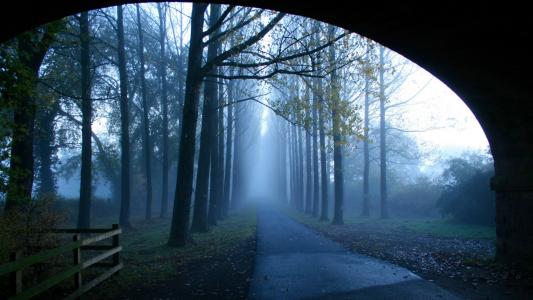 鄒念勛TKLKSZ42相關圖片