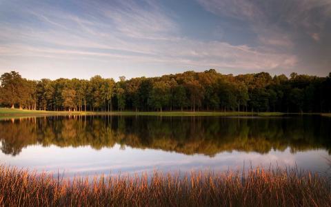 孔旦華RBV8CMKD相關圖片