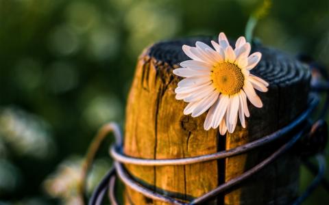 畢慶鋒0ACBIZNE相關圖片